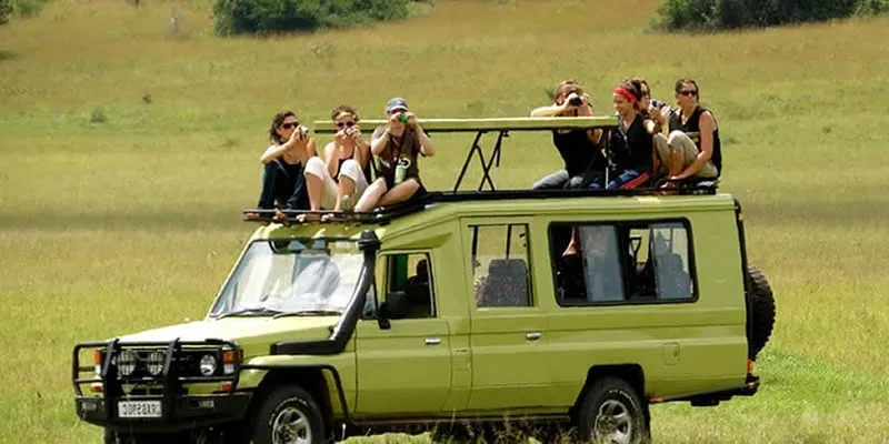 Travellers photographing wildlife from a Silverback Adventures 4x4